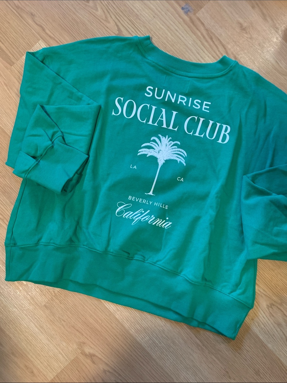 Oldnavy Sunrise Social Club Graphic Sweatshirt - Green